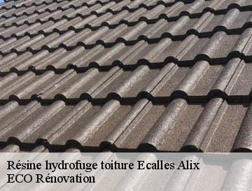 Résine hydrofuge toiture  ecalles-alix-76190 ECO Rénovation