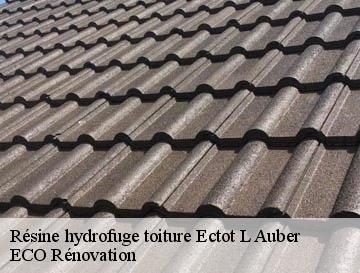 Résine hydrofuge toiture ectot-l-auber-76760 ECO Rénovation