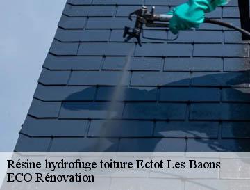 Résine hydrofuge toiture  ectot-les-baons-76970 ECO Rénovation