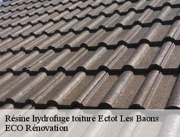 Résine hydrofuge toiture  ectot-les-baons-76970 ECO Rénovation