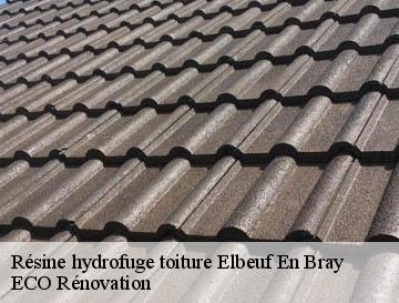 Résine hydrofuge toiture elbeuf-en-bray-76220 ECO Rénovation