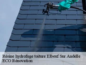 Résine hydrofuge toiture  elbeuf-sur-andelle-76780 ECO Rénovation
