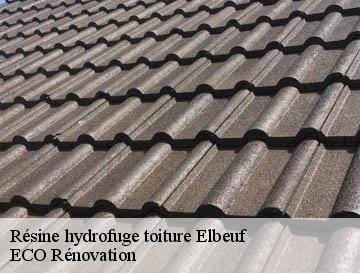 Résine hydrofuge toiture elbeuf-76500 ECO Rénovation
