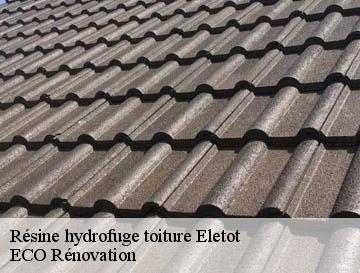 Résine hydrofuge toiture  eletot-76540 ECO Rénovation