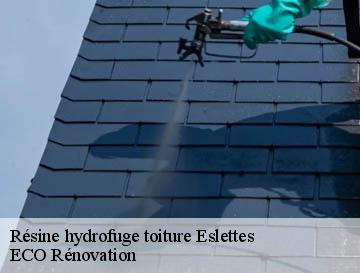 Résine hydrofuge toiture  eslettes-76710 ECO Rénovation