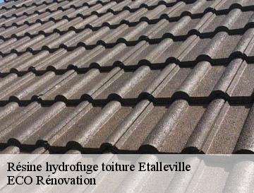 Résine hydrofuge toiture  etalleville-76560 ECO Rénovation