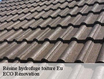Résine hydrofuge toiture eu-76260 ECO Rénovation