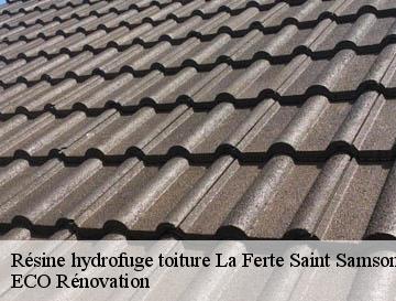 Résine hydrofuge toiture la-ferte-saint-samson-76440 ECO Rénovation
