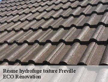 Résine hydrofuge toiture freville-76190 ECO Rénovation