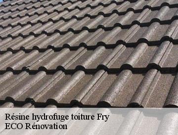 Résine hydrofuge toiture  fry-76780 ECO Rénovation