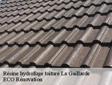 Résine hydrofuge toiture  la-gaillarde-76740 ECO Rénovation