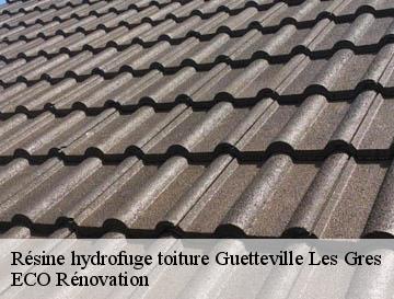 Résine hydrofuge toiture guetteville-les-gres-76460 ECO Rénovation