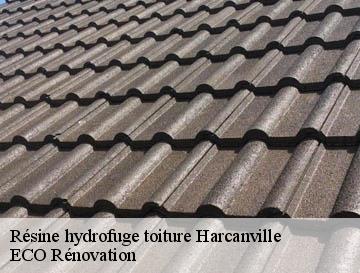 Résine hydrofuge toiture  harcanville-76560 ECO Rénovation