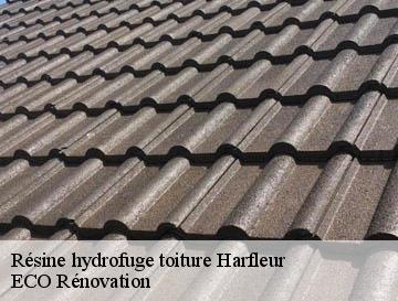 Résine hydrofuge toiture  harfleur-76700 ECO Rénovation