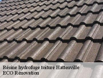 Résine hydrofuge toiture  hattenville-76640 ECO Rénovation