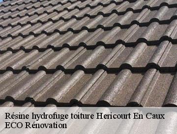 Résine hydrofuge toiture  hericourt-en-caux-76560 ECO Rénovation
