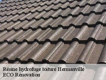 Résine hydrofuge toiture  hermanville-76730 ECO Rénovation