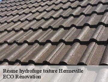 Résine hydrofuge toiture hermeville-76280 ECO Rénovation