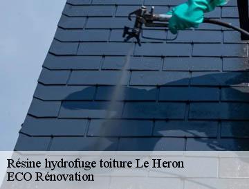 Résine hydrofuge toiture  le-heron-76780 ECO Rénovation