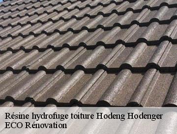 Résine hydrofuge toiture  hodeng-hodenger-76780 ECO Rénovation