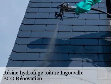 Résine hydrofuge toiture  ingouville-76460 ECO Rénovation