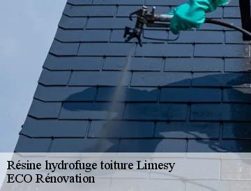 Résine hydrofuge toiture  limesy-76570 ECO Rénovation