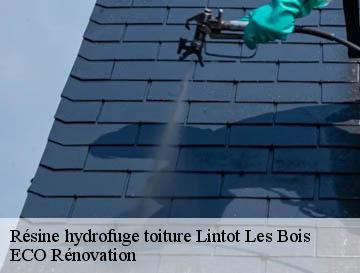 Résine hydrofuge toiture lintot-les-bois-76590 ECO Rénovation
