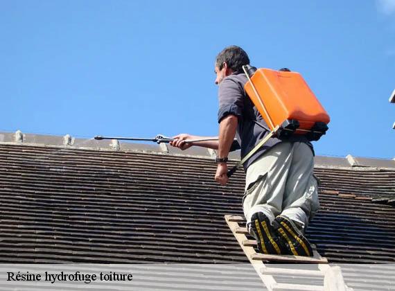 Résine hydrofuge toiture lintot-les-bois-76590 ECO Rénovation
