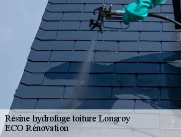 Résine hydrofuge toiture  longroy-76260 ECO Rénovation