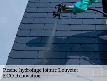 Résine hydrofuge toiture  louvetot-76490 ECO Rénovation