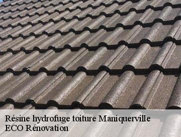 Résine hydrofuge toiture  maniquerville-76400 ECO Rénovation