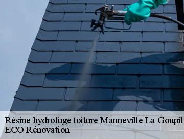 Résine hydrofuge toiture  manneville-la-goupil-76110 ECO Rénovation