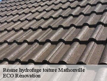 Résine hydrofuge toiture mathonville-76680 ECO Rénovation