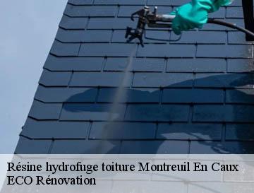 Résine hydrofuge toiture montreuil-en-caux-76850 ECO Rénovation