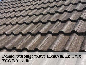 Résine hydrofuge toiture montreuil-en-caux-76850 ECO Rénovation
