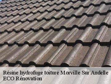Résine hydrofuge toiture morville-sur-andelle-76780 ECO Rénovation