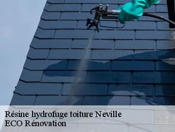 Résine hydrofuge toiture  neville-76460 ECO Rénovation