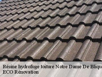 Résine hydrofuge toiture  notre-dame-de-bliquetuit-76940 ECO Rénovation