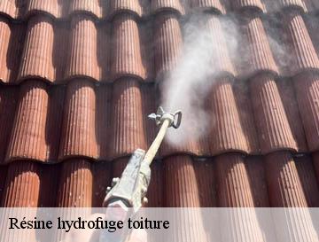 Résine hydrofuge toiture  offranville-76550 ECO Rénovation