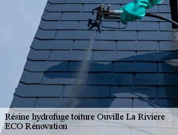 Résine hydrofuge toiture ouville-la-riviere-76860 ECO Rénovation