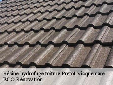 Résine hydrofuge toiture pretot-vicquemare-76560 ECO Rénovation