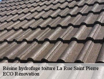 Résine hydrofuge toiture  la-rue-saint-pierre-76690 ECO Rénovation