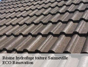 Résine hydrofuge toiture  sainneville-76430 ECO Rénovation