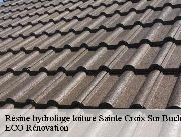 Résine hydrofuge toiture  sainte-croix-sur-buchy-76750 ECO Rénovation