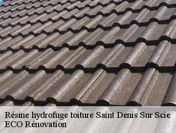 Résine hydrofuge toiture  saint-denis-sur-scie-76890 ECO Rénovation