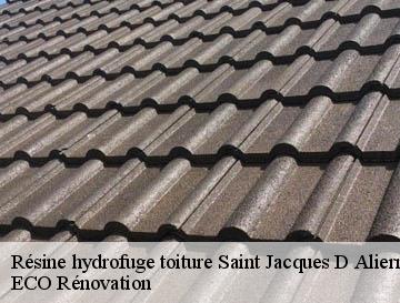 Résine hydrofuge toiture  saint-jacques-d-aliermont-76510 ECO Rénovation