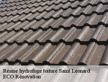 Résine hydrofuge toiture  saint-leonard-76400 ECO Rénovation