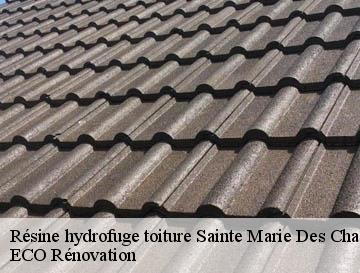 Résine hydrofuge toiture  sainte-marie-des-champs-76190 ECO Rénovation