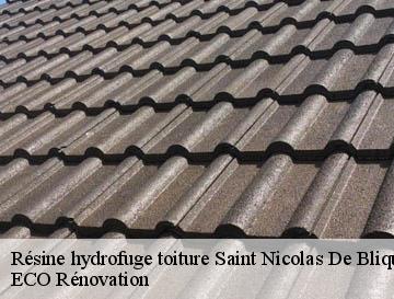 Résine hydrofuge toiture  saint-nicolas-de-bliquetuit-76940 ECO Rénovation