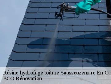 Résine hydrofuge toiture sausseuzemare-en-cau-76110 ECO Rénovation